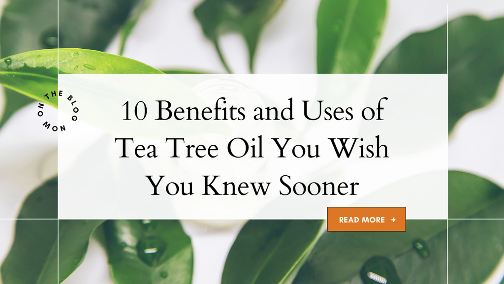 10 Benefits and Uses of Tea Tree Oil You Wish You Knew Sooner