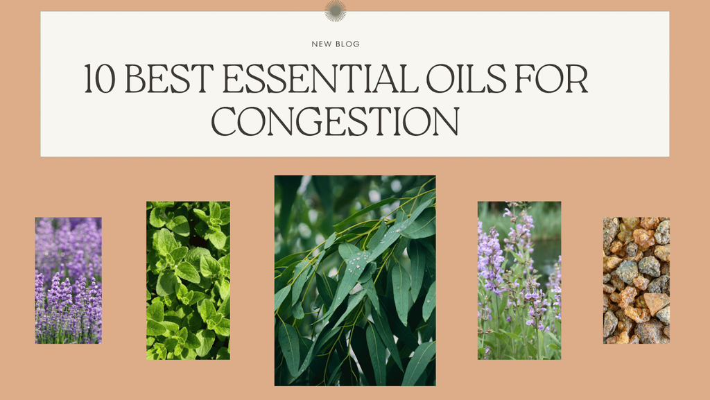 10 Best Essential oil for Congestion