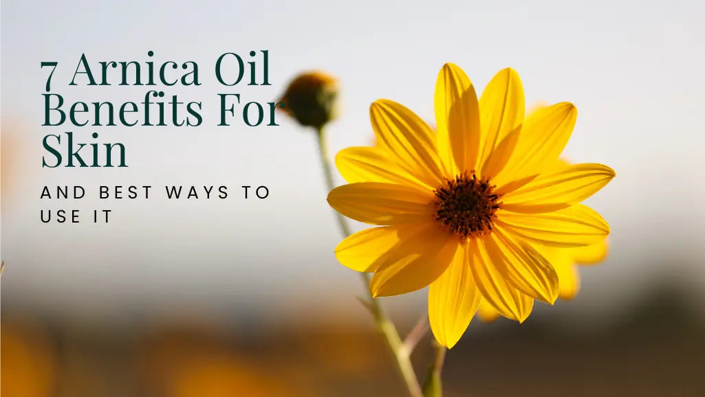 citronella plants for mosquitoes Citronella Mosquito Plant in Trade Gallon