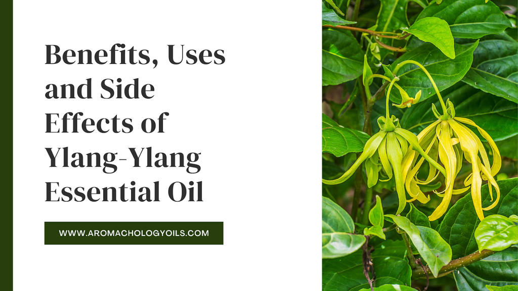 Benefits, Uses and Side Effects of Ylang-Ylang Essential Oil