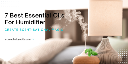 Best Essential Oils for Humidifier