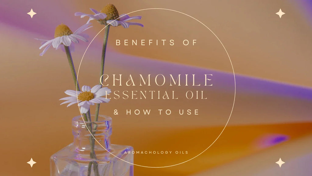 Chamomile Essential Oil: Benefits and How to Use Guide