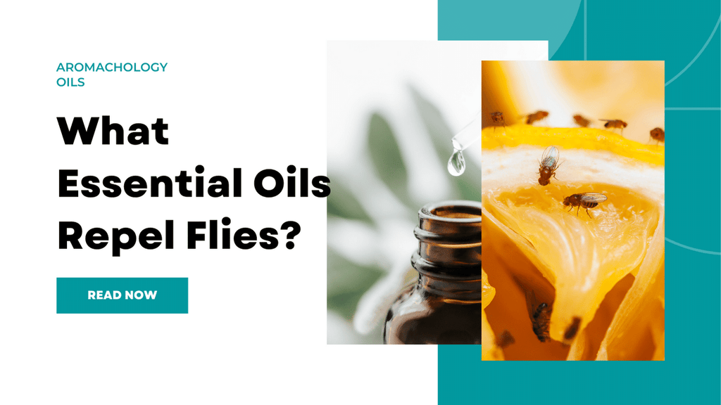 what essential oils repel flies