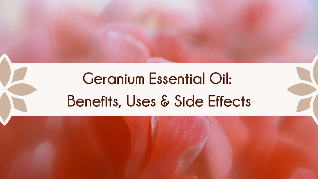 Geranium Oil Benefits, Uses and Side Effects