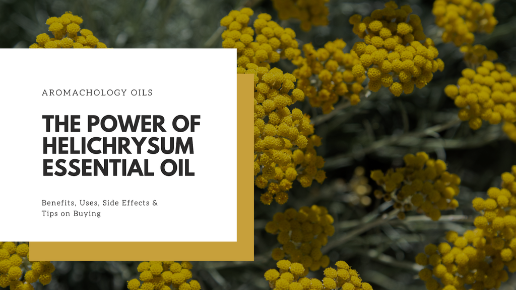 Helichrysum Essential Oil Benefits and Uses