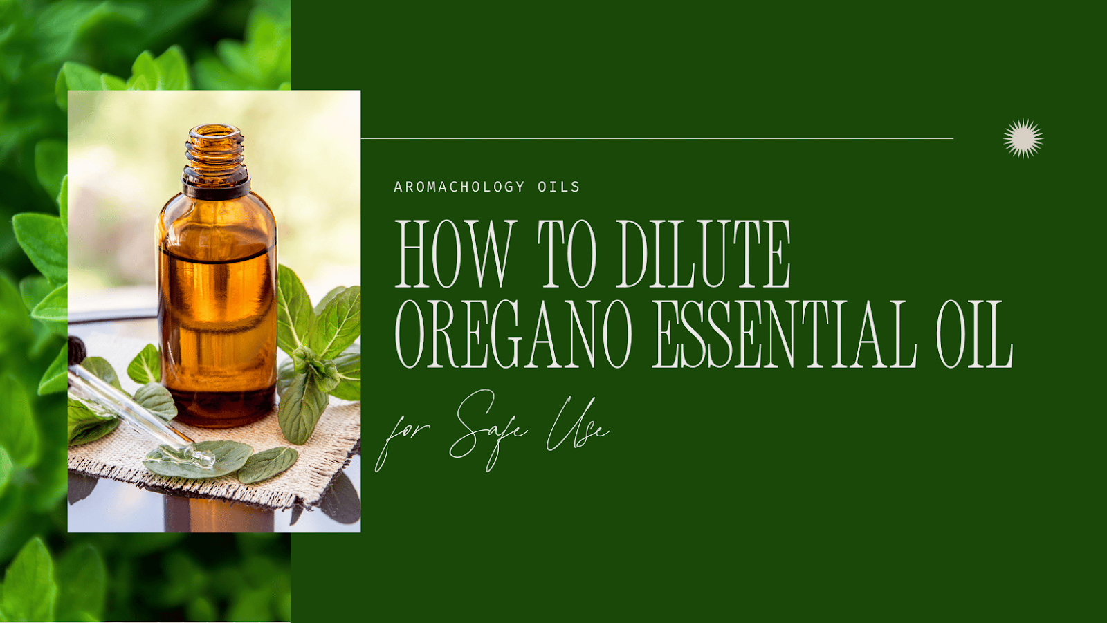 How to Dilute Oregano Essential Oil for Safe Use - Aromachology Oils