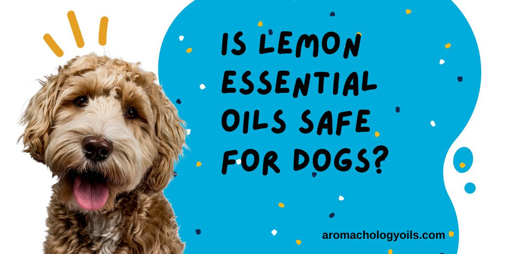 Is Lemon Essential Oils safe for Dogs