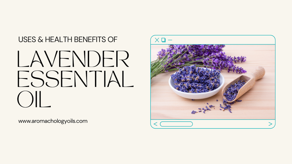 Lavender Essential oil Uses & benefits