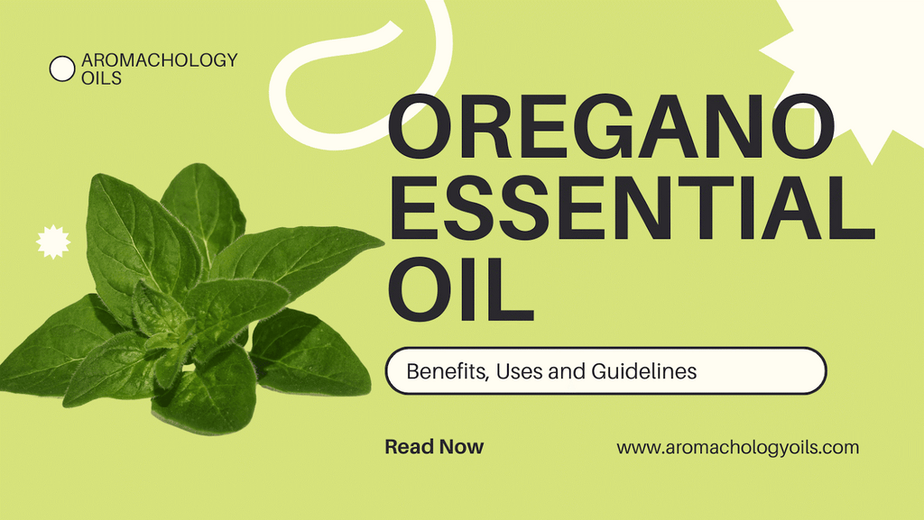 Oregano Essential Oil: Benefits and Uses