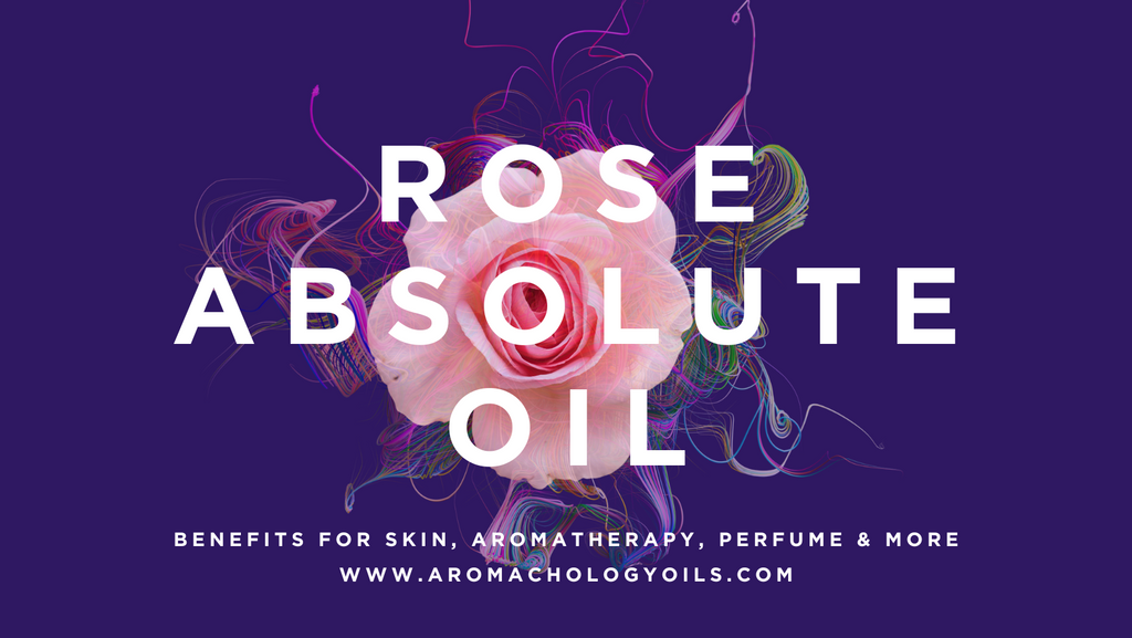 ROSE ABSOLUTE OIL BENEFITS