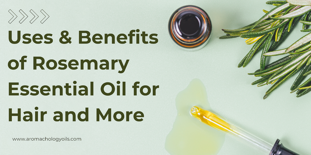 Rosemary Essential Oil Uses and benefits