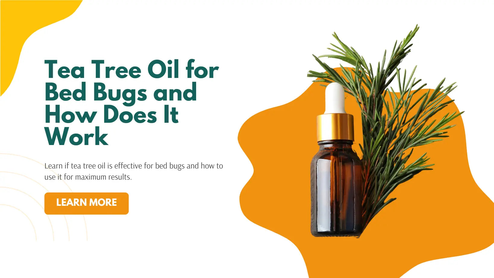 Tea Tree Oil For Bed Bugs And How Does It Work - Aromachology Oils