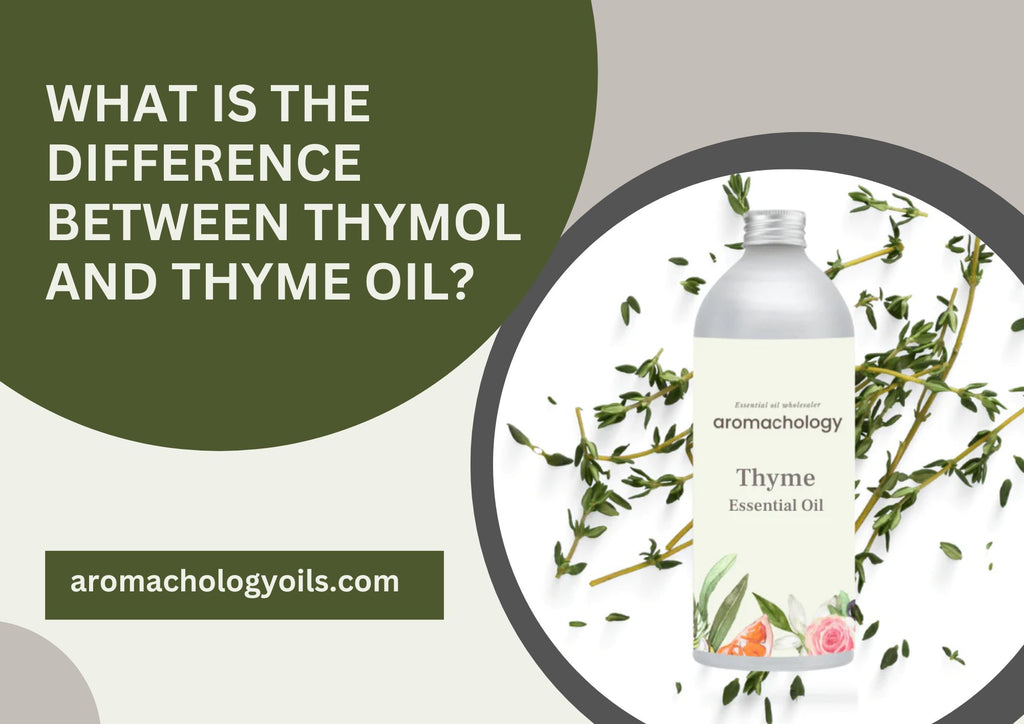 What Is the Difference Between Thymol and Thyme Oil?