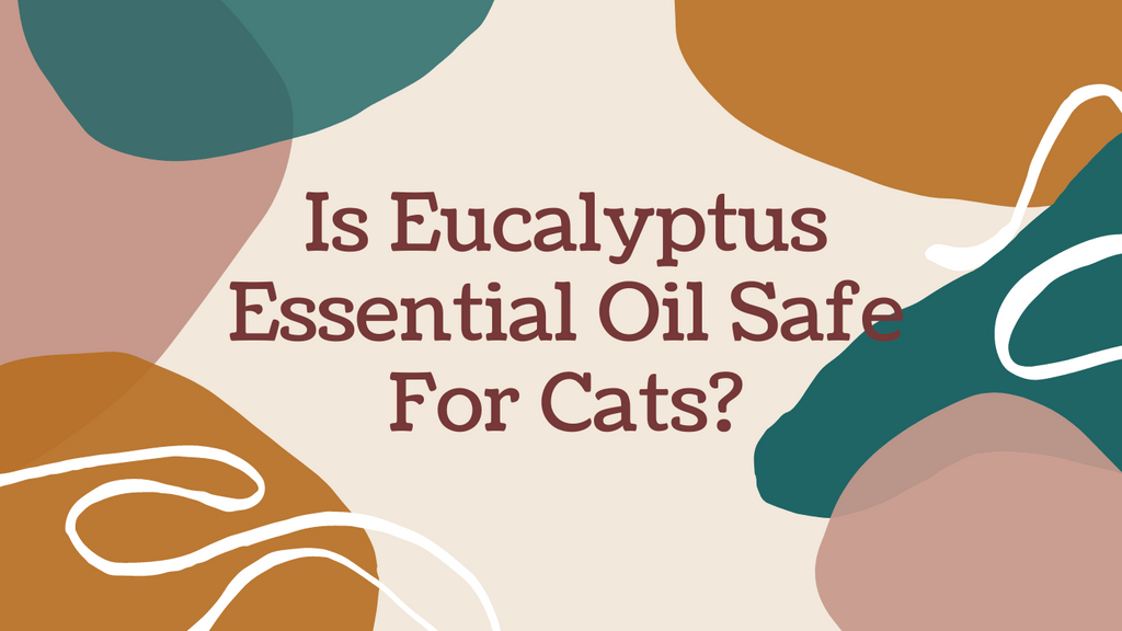Is eucalyptus essential oil safe for cats