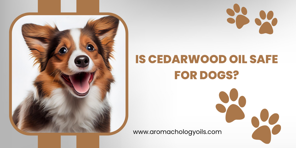 is cedarwood oil safe for dogs