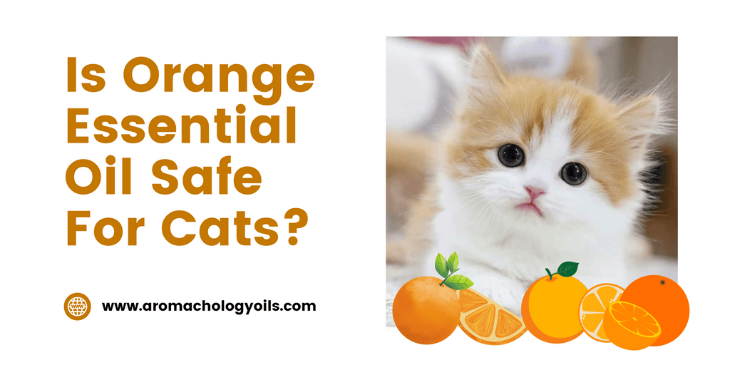 is orange essential oil safe for cats? is orange essential oil toxic for cats?
