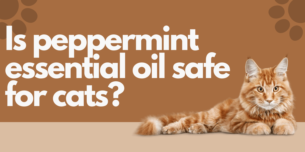 Is peppermint essential oil safe for cats?