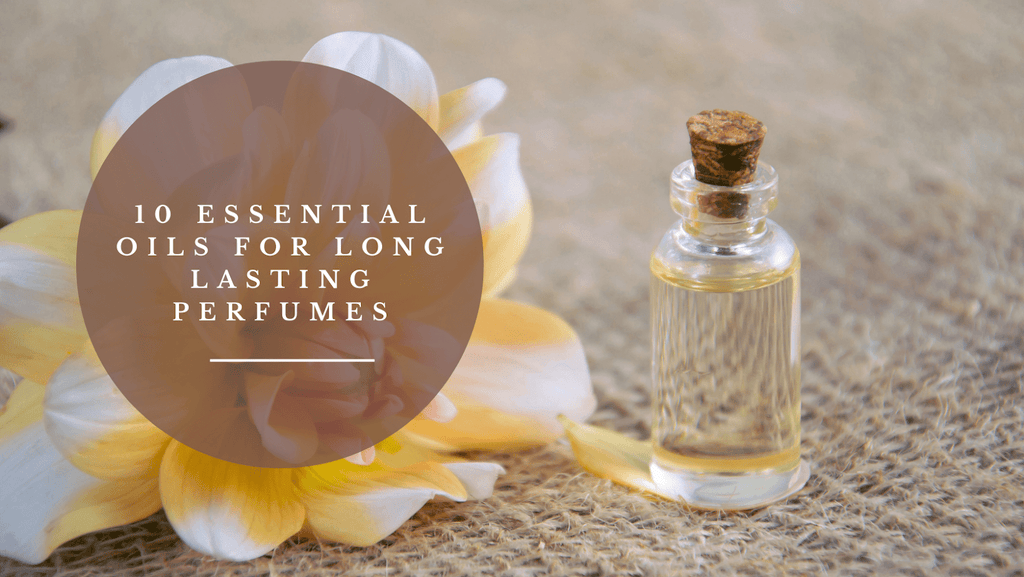 Top 12 Essential Oils for Long-Lasting Perfumes - Aromachology Oils