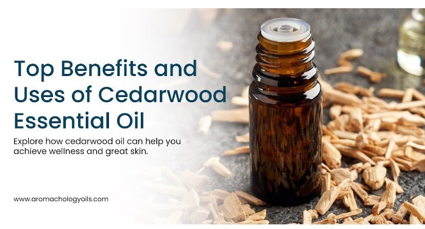 Top Benefits and Uses of Cedarwood Essential Oil - Aromachology Oils