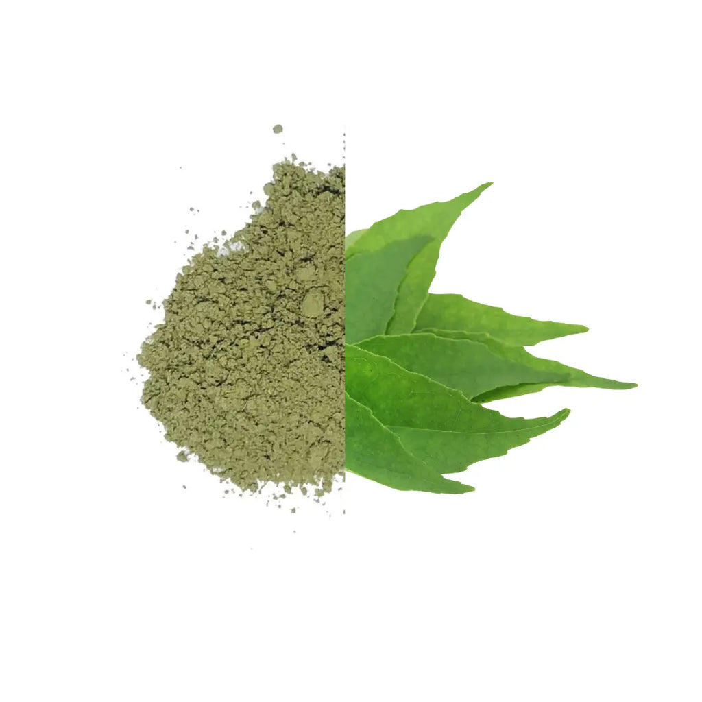 Curry Leaf Powder