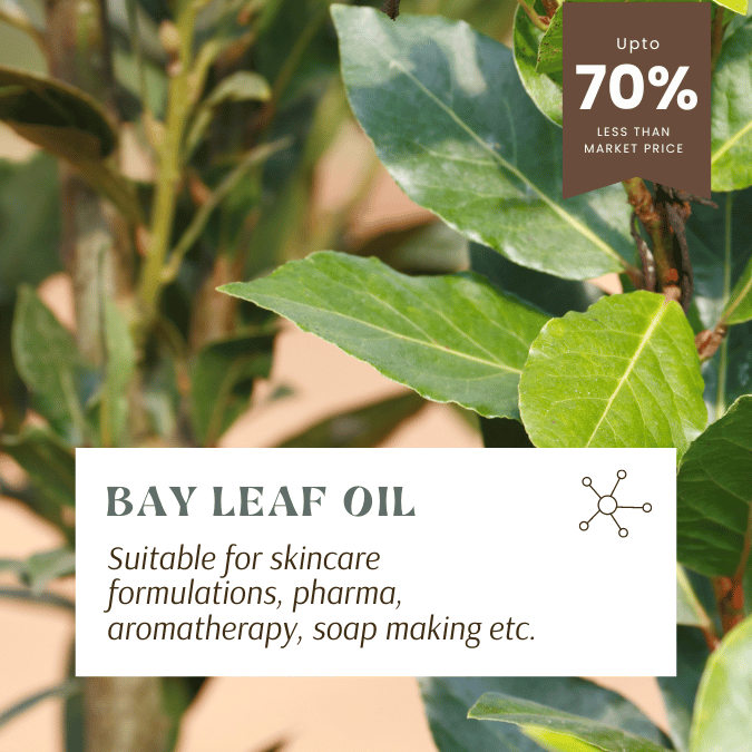 PURE ORGANIC AND NATURAL BAY LEAF OIL FOR SKINCARE, PHARMA, AROMATHERAPY, SOAP MAKING