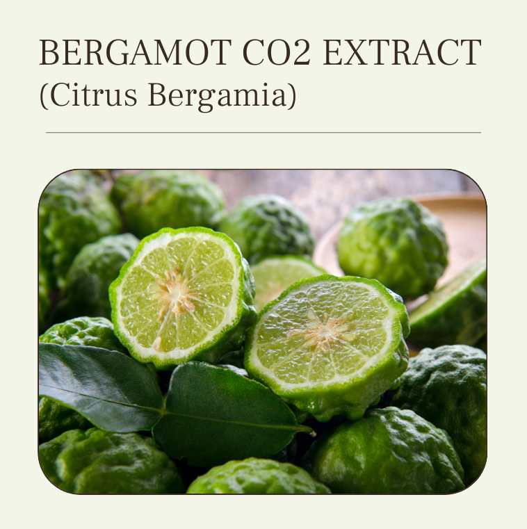 bergamot co2 extract oil at wholesale price