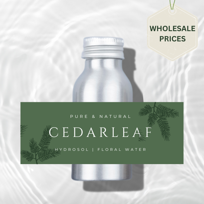 cedar leaf hydrosol hydrolat floral water