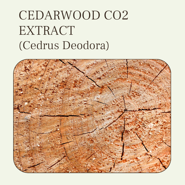 cedarwood co2 extract oil
