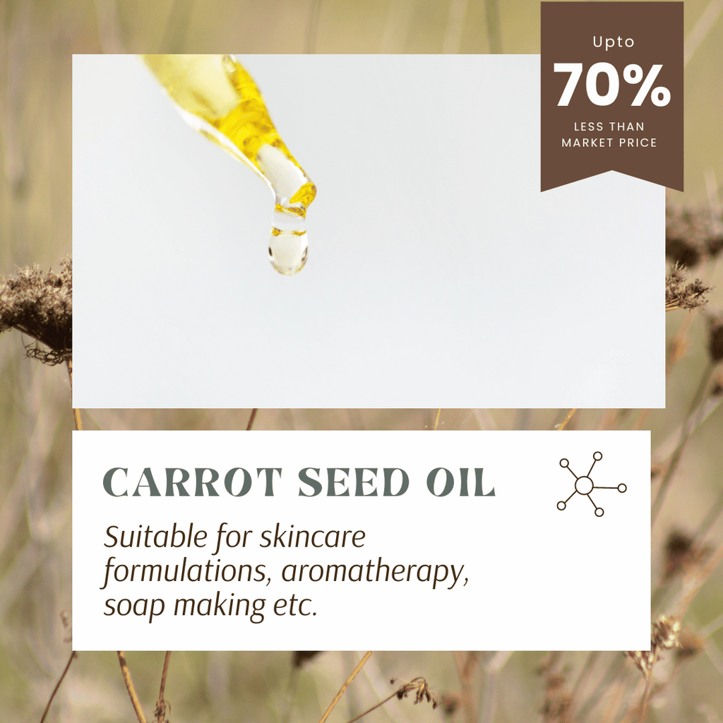 Bulk carrot seed oil for skincare and aromatherapy from best carrot seed essential oil wholesaler