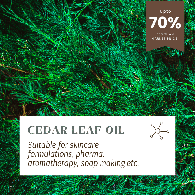 cedar leaf essential oil for skincare, pharma, aromatherapy and soap making
