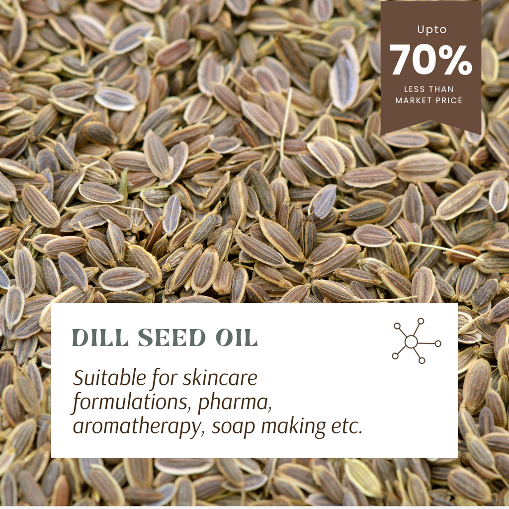 dill seed essential oil in wholesale and bulk USA