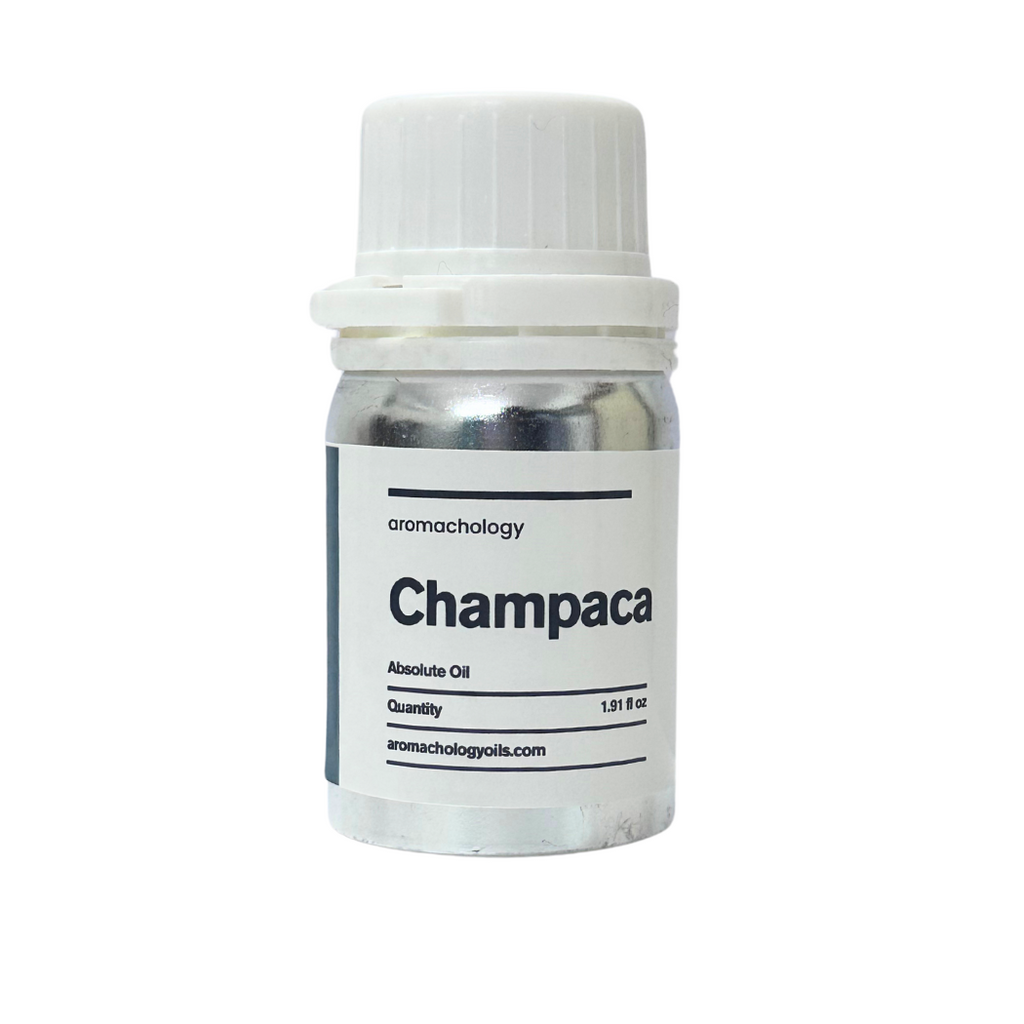 champaca absolute oil 