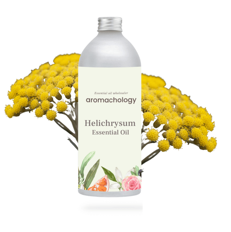 Pure Helichrysum essential oil in wholesale