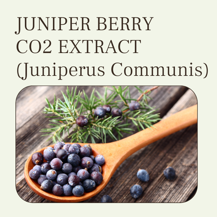 Juniper berry co2 extract