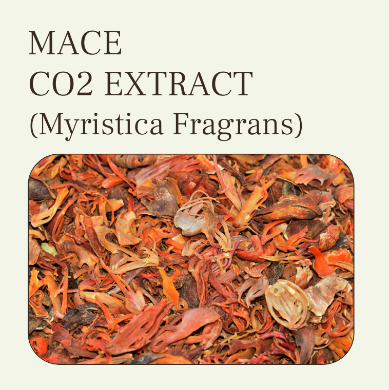 MACE-CO2-EXTRACT