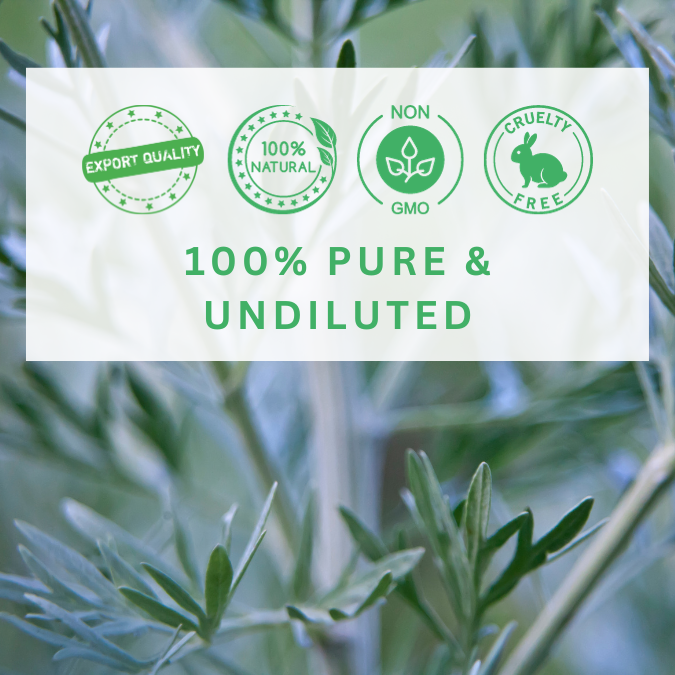 100% PURE AND NATURAL MUGWORT ESSENTIAL OIL