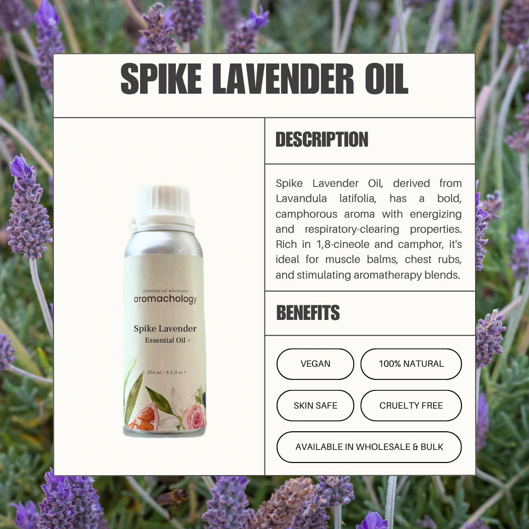 lavender flower benefits for skin Spike Lavender Essential Oil