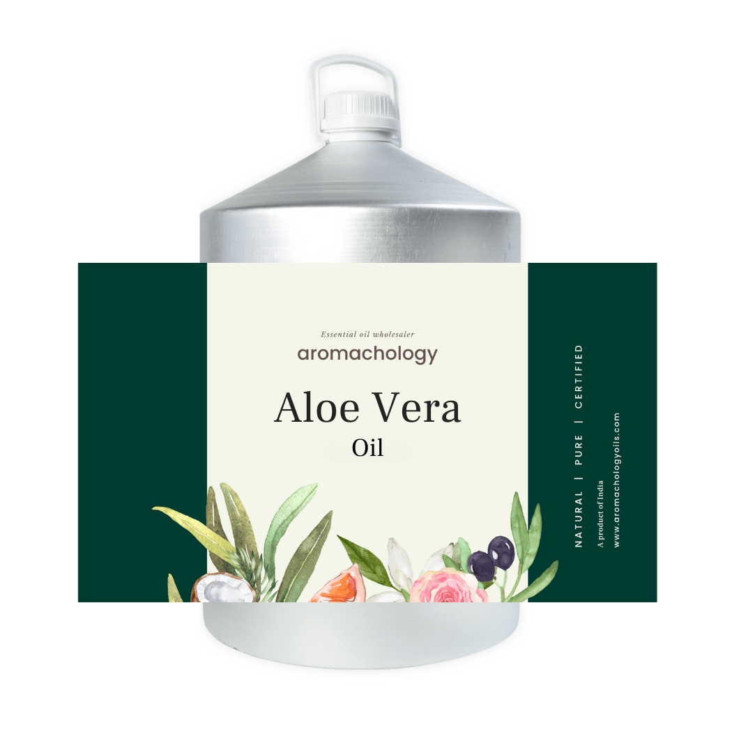 aloe vera plant oil Aloe Vera Oil