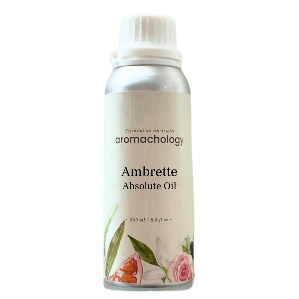 Ambrette Ambrette Seed Absolute Oil - Wholesale & Bulk - Aromachology Oils