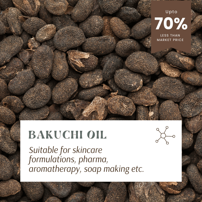 babchi oil in wholesale