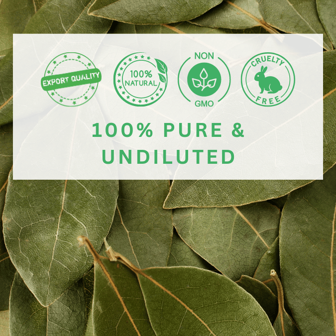 Natural Bay Leaf Essential Oil, 99% Pure, Packaging Size: 1 L at ₹ 4000/kg in Kannauj Natural Bay Leaf Essential Oil, 99% Pure, Packaging Size: 1 L at ₹ 4000/kg in Kannauj