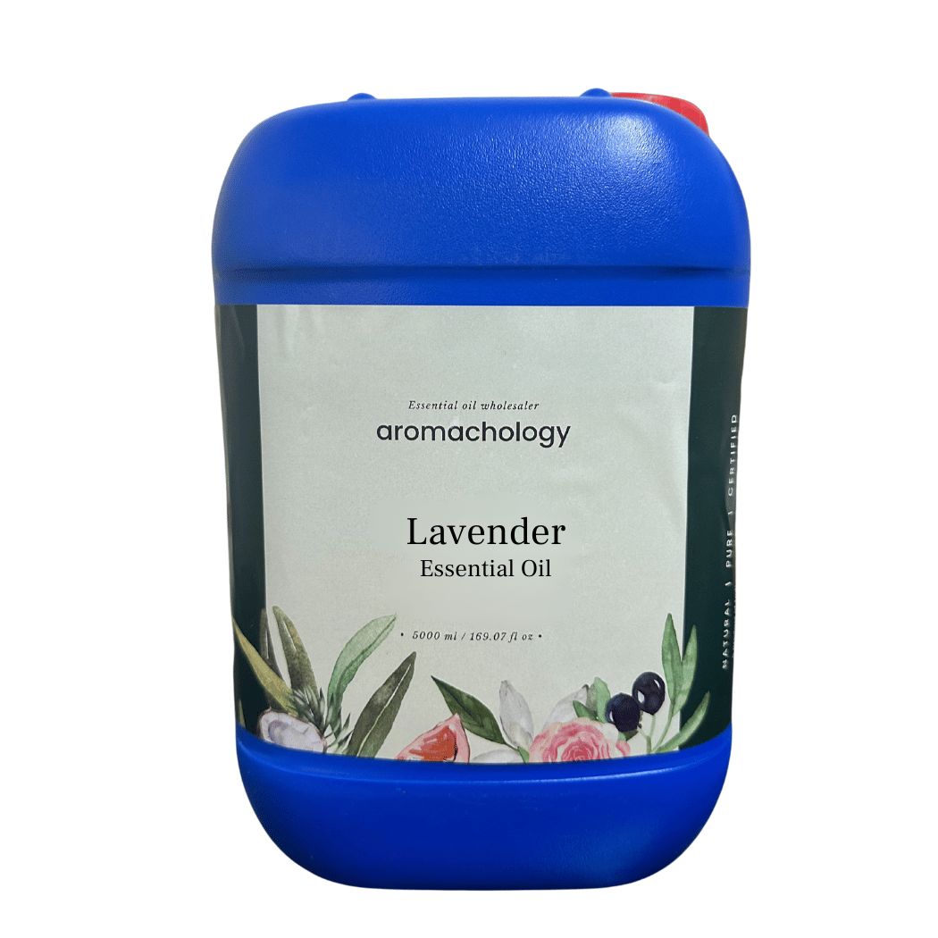 best lavender plant for essential oil Best Lavender Essential Oil