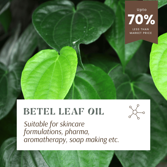 betel leaf oil for skincare, pharma, aromatherapy, soap making and candle making