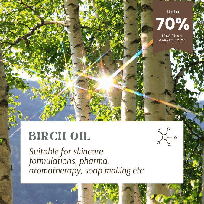 Sweet birch essential oil for resale