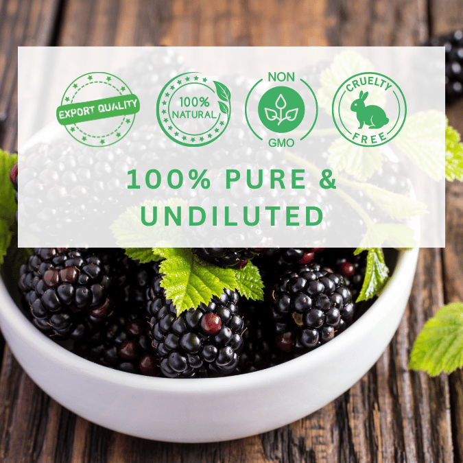 100% pure virgin organic blackberry seed oil in bulk