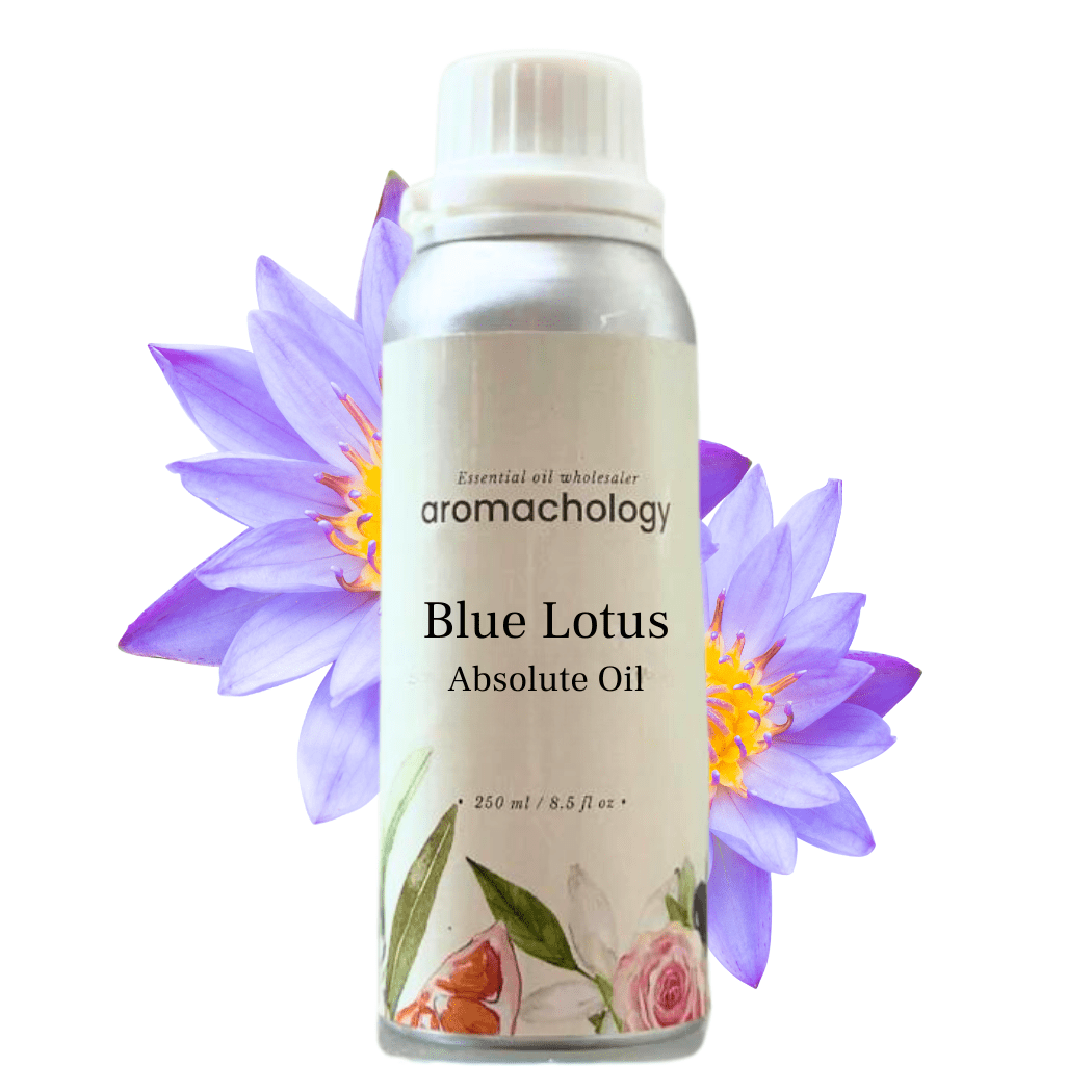 Blue Lotus Absolute