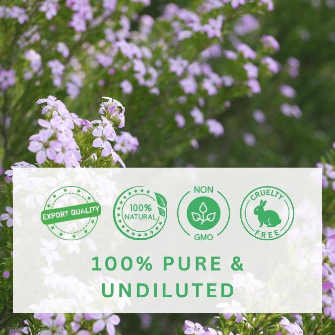 100% pure and natural buchu essential oil that is cruelty free and of export quality