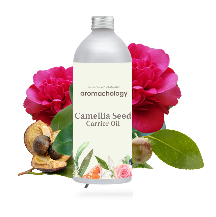 certified organic camellia seed oil in bulk and wholesale in USA