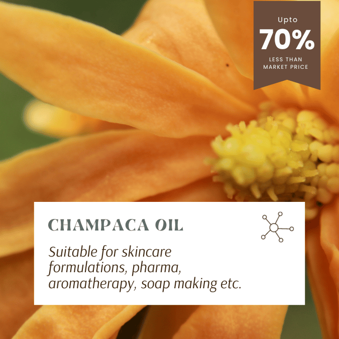 champaca oil for skincare, pharma, aromatherapy, soap making