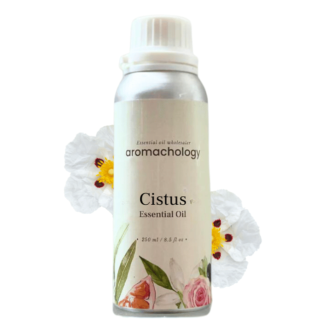 Cistus Essential Oil - Aromachology Oils